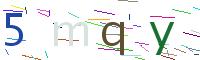 Verify Code