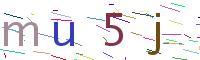 Verify Code