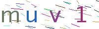 Verify Code