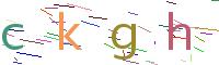 Verify Code