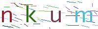 Verify Code