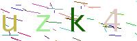 Verify Code