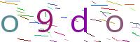 Verify Code