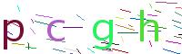 Verify Code
