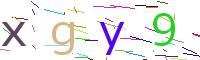 Verify Code