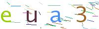 Verify Code
