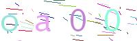 Verify Code