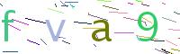 Verify Code