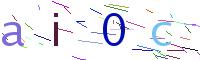 Verify Code