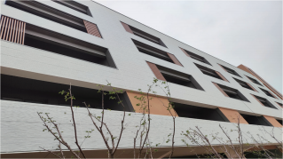 Wood Fiber Cement Board
