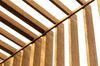 Pine Poplar Eucalyptus LVL Scaffolding Planks for Building
