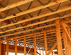 Pine Poplar Eucalyptus LVL Scaffolding Planks for Building